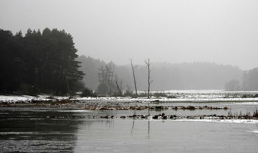 Zamrożona łąka