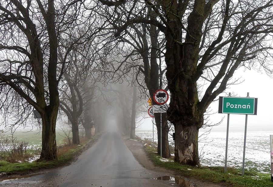 Najpiękniejsza granica Poznania