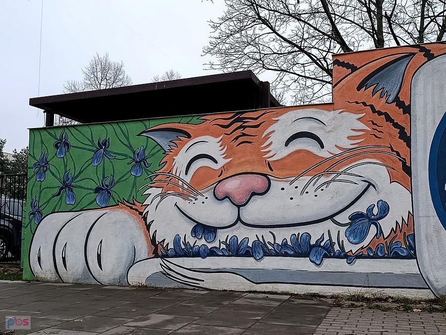 Kocio w kwiatkach