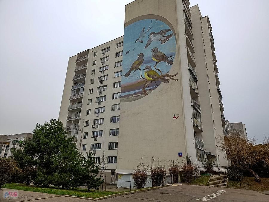 Mural z ptaszkami