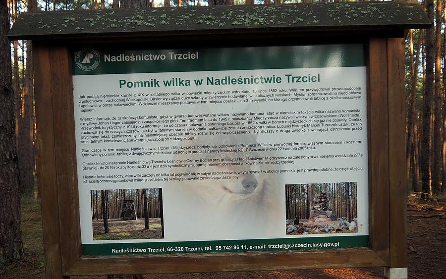 Tablica informacyjna