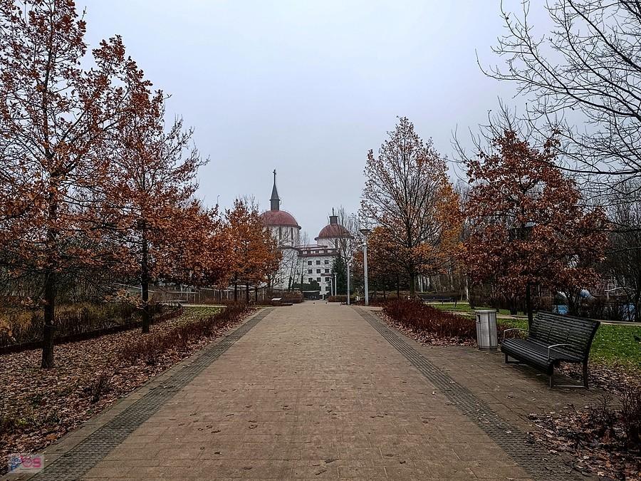 W parku Przy Bażantarni