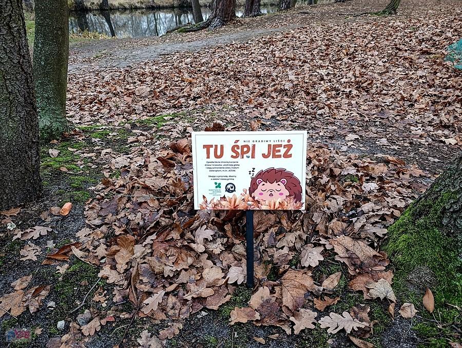 Akcja "Tu śpi jeż" w Parku Zdrojowym
