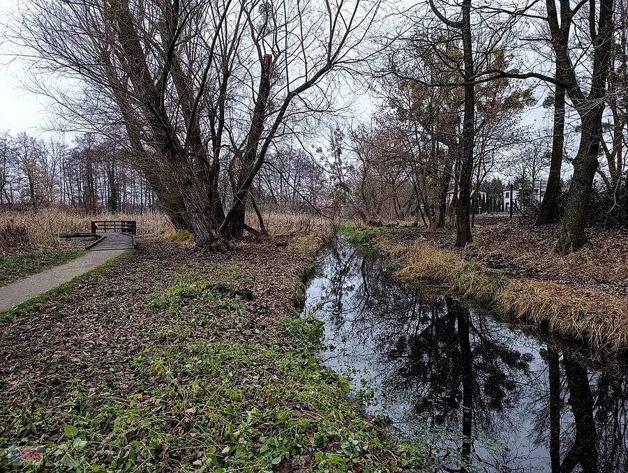Trochę wody w rowie Małej jest, ale nurtu nie ma