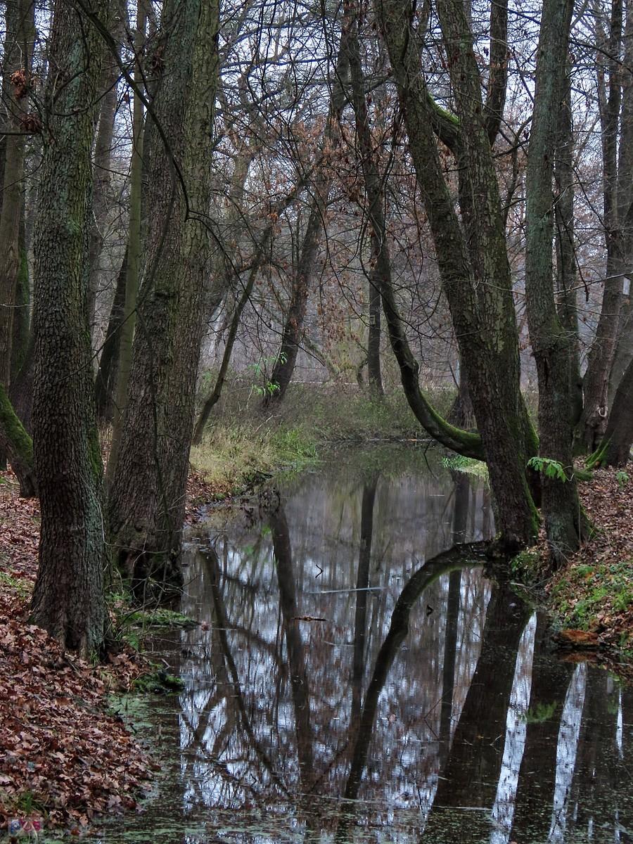 Kanałek przy Jeziorce