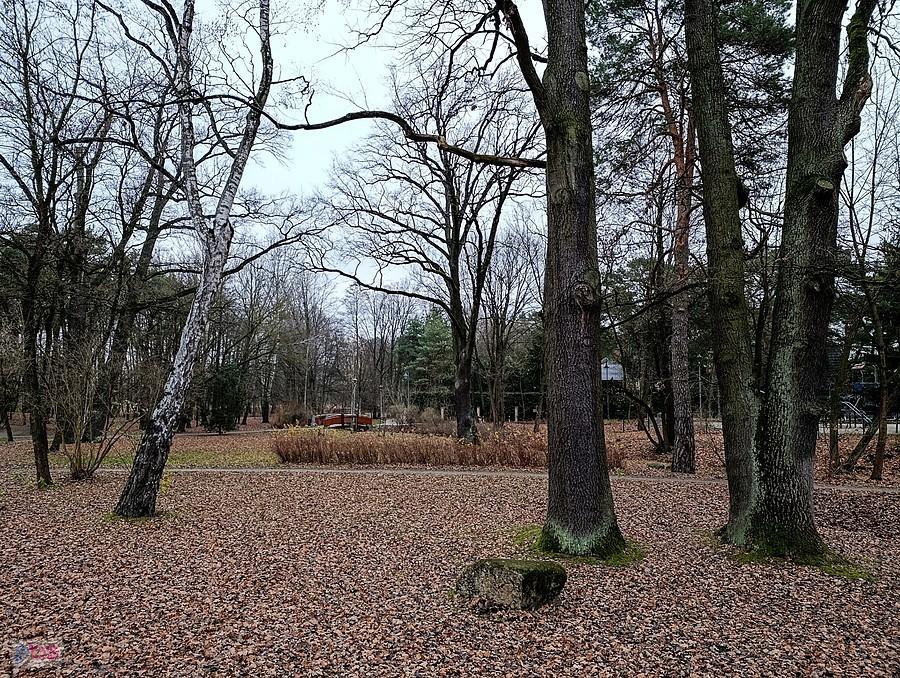 Konstancin - Park Zdrojowy