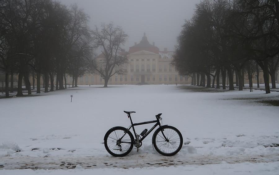 Śnieżno - mgliste klimaty przy Pałacu w Rogalinie
