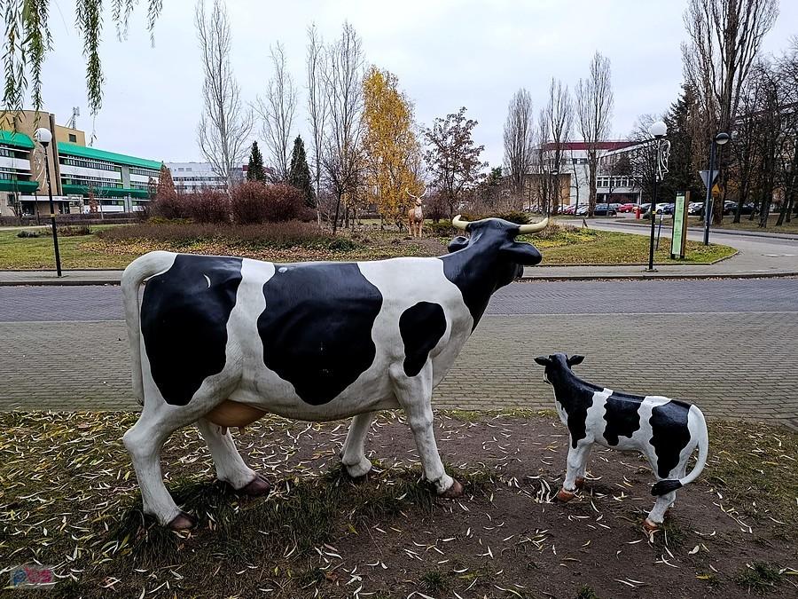 Jakiś intruz stoi po drugiej stronie ulicy