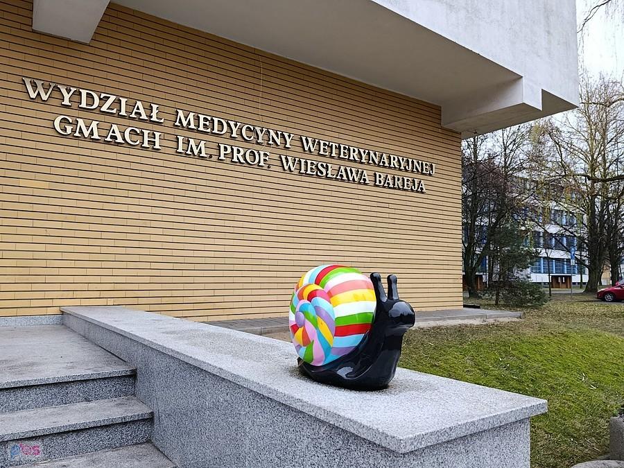 Maskotka Wydziału Medycyny Weterynaryjnej