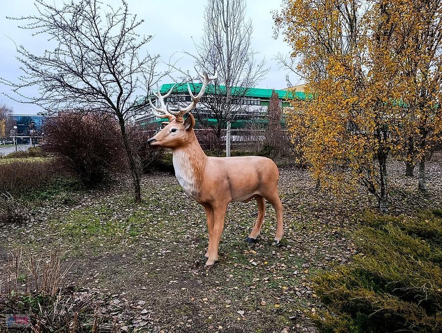 Jeleń jak malowany