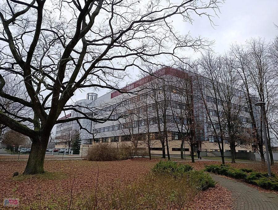 Dębisko przy Wydziale Leśnym SGGW