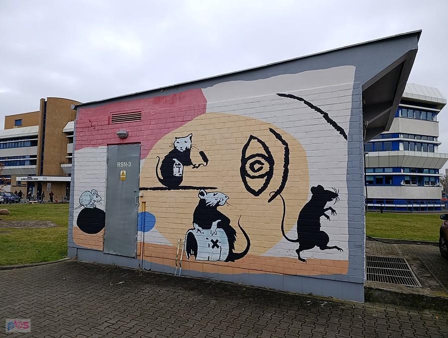 Szczurzy mural