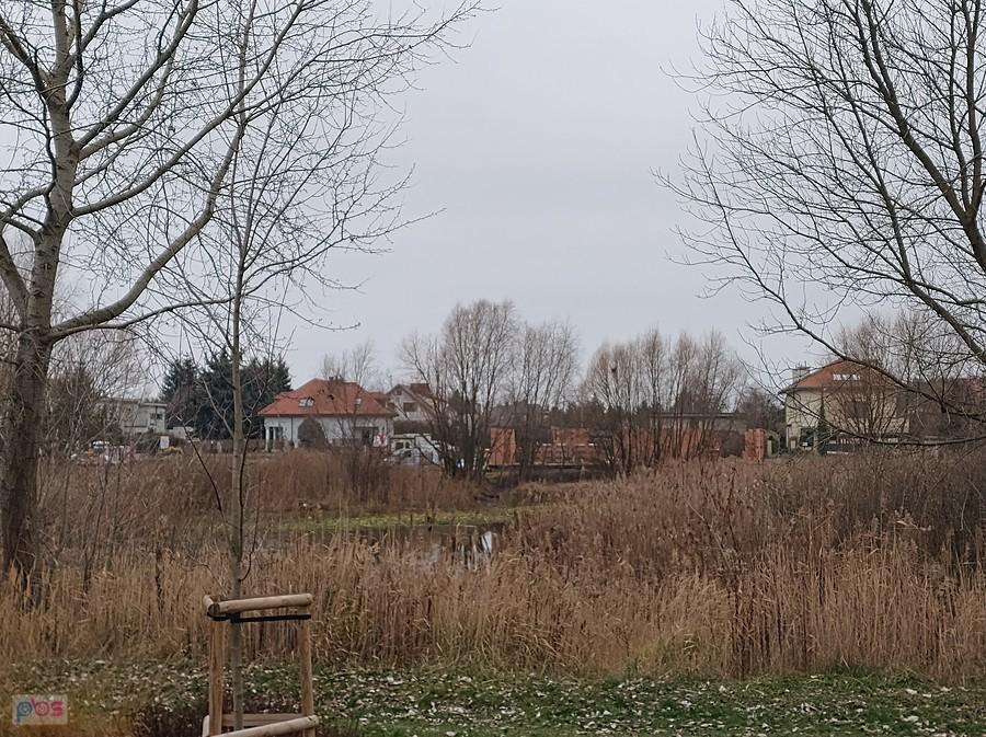 Staw w Bliznem