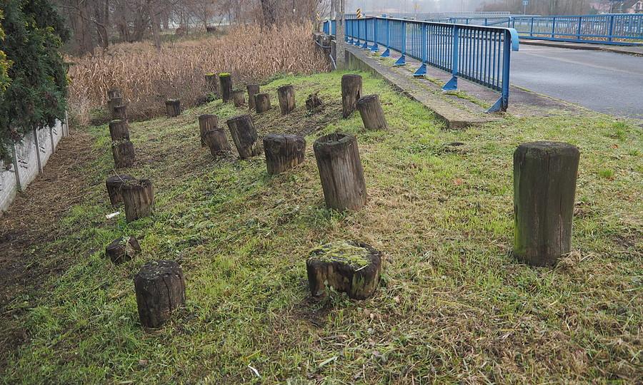 Zapora przeciwpancerna z drewnianych pali