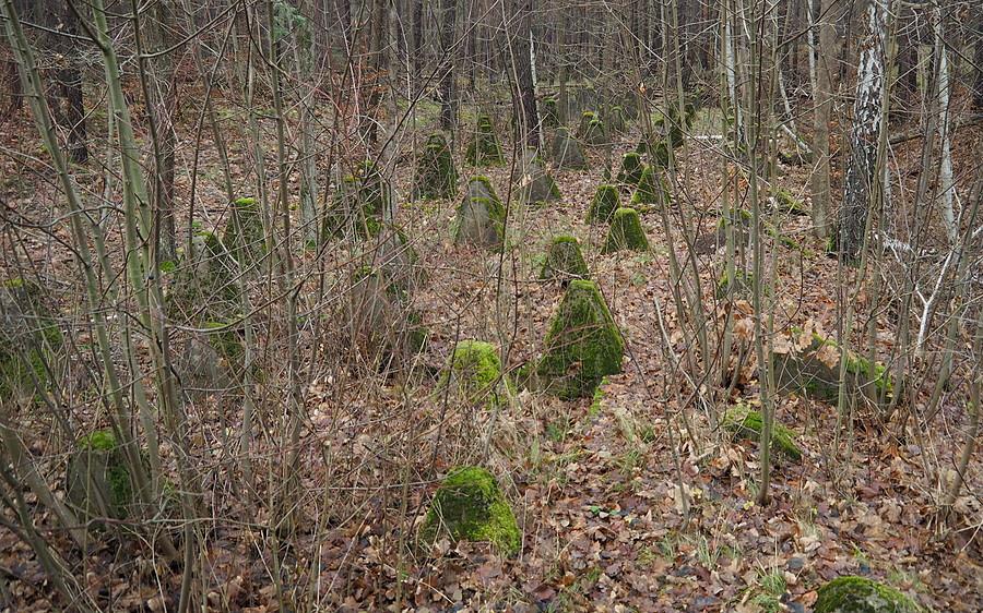 Pas smoczych zębów nad Strugą Jeziorną