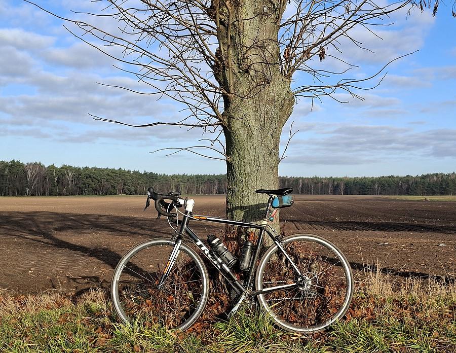 Rowerówka z Lisówek