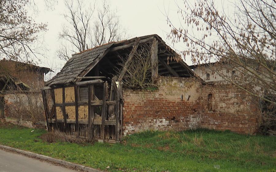 Niezatapialny chlewik