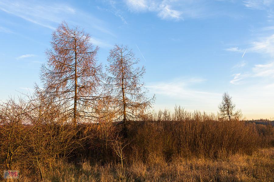 Turów - godz. 16:10.