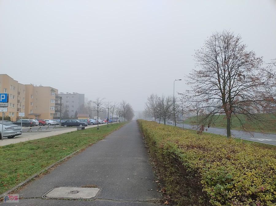 Chodnik wzdłuż alejki drzew przy osiedlu