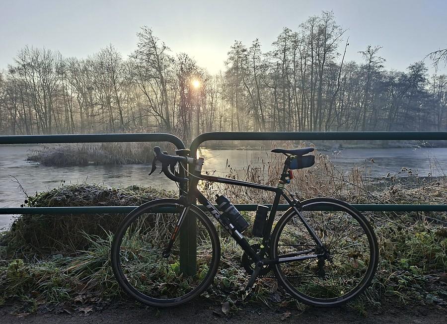 Obowiązkowa leśna rowerówka