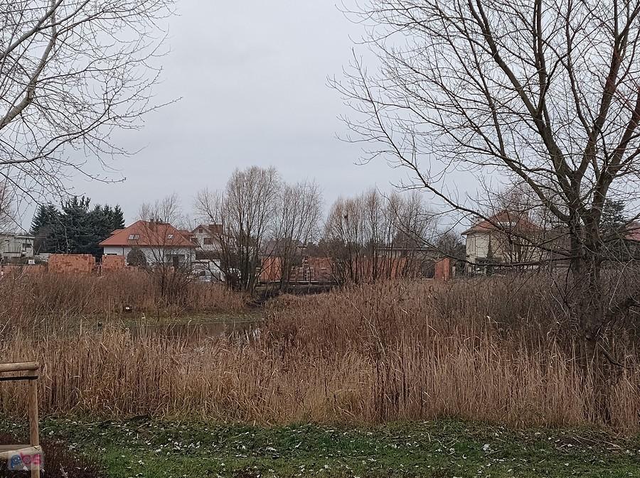 Staw w Bliznem