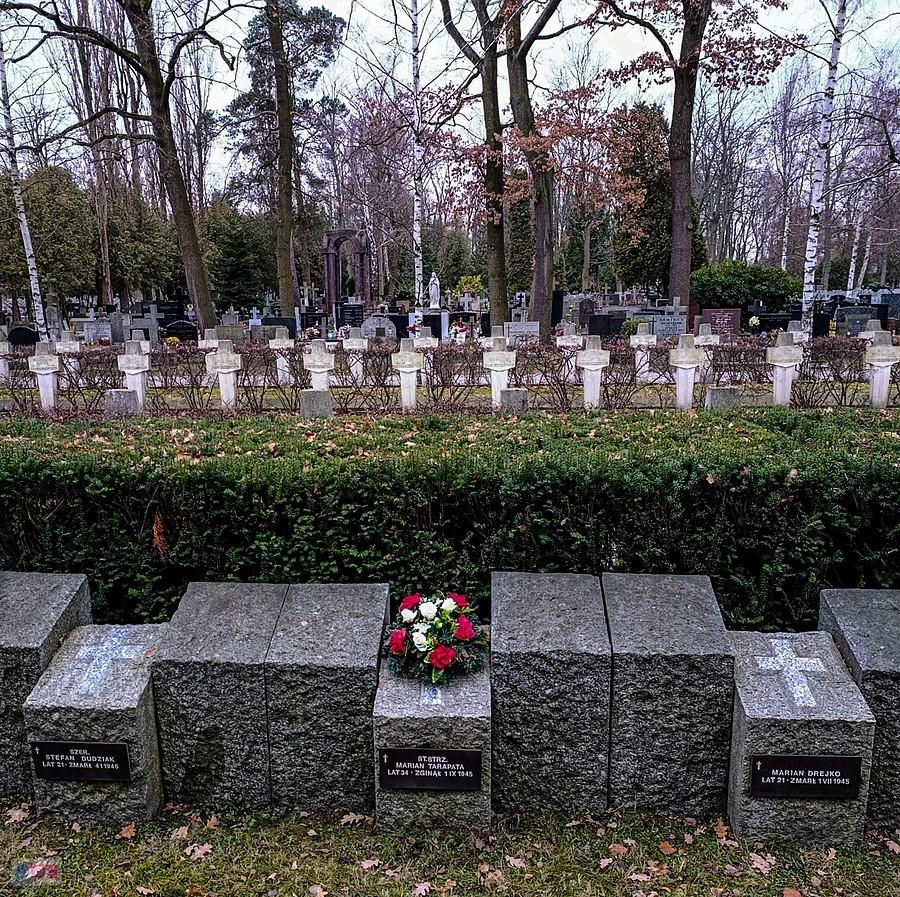 Fragment cmentarza Powązki Wojskowe