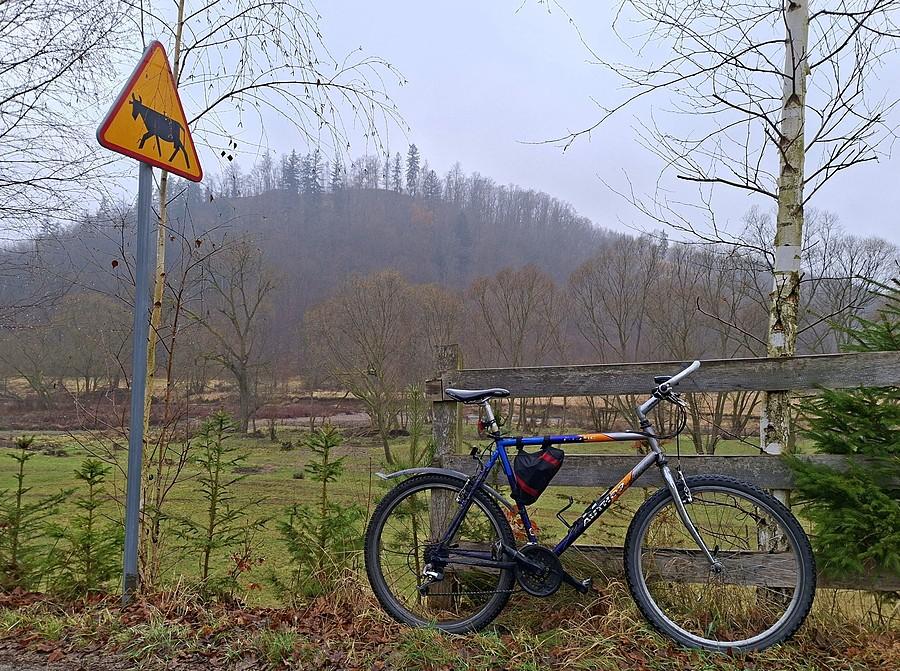 Rowerówka z zamglonego Bobrowa