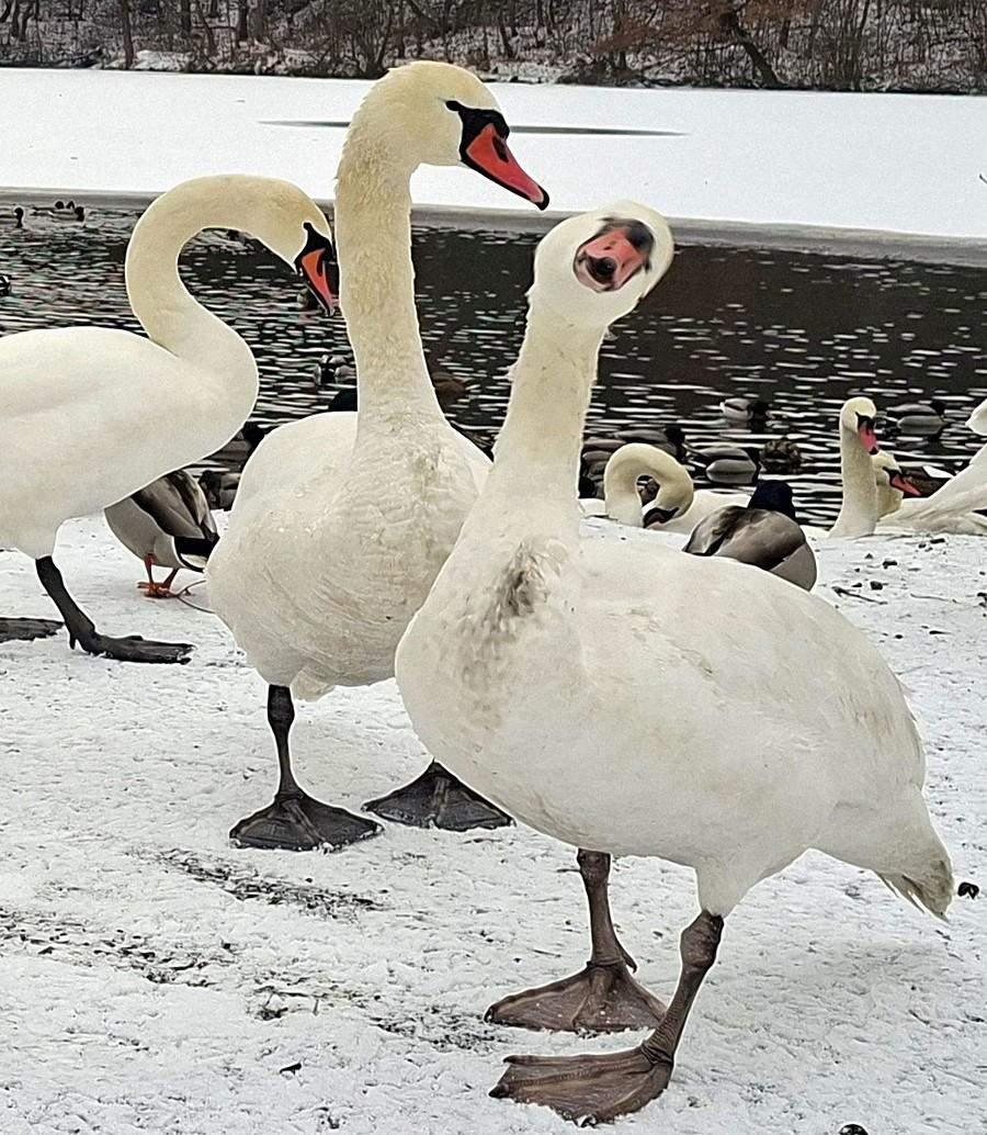 Być może to uśmiech :)