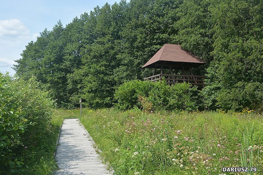 Platforma widokowa Bubnów Czahary - Kulczyn-Kolonia