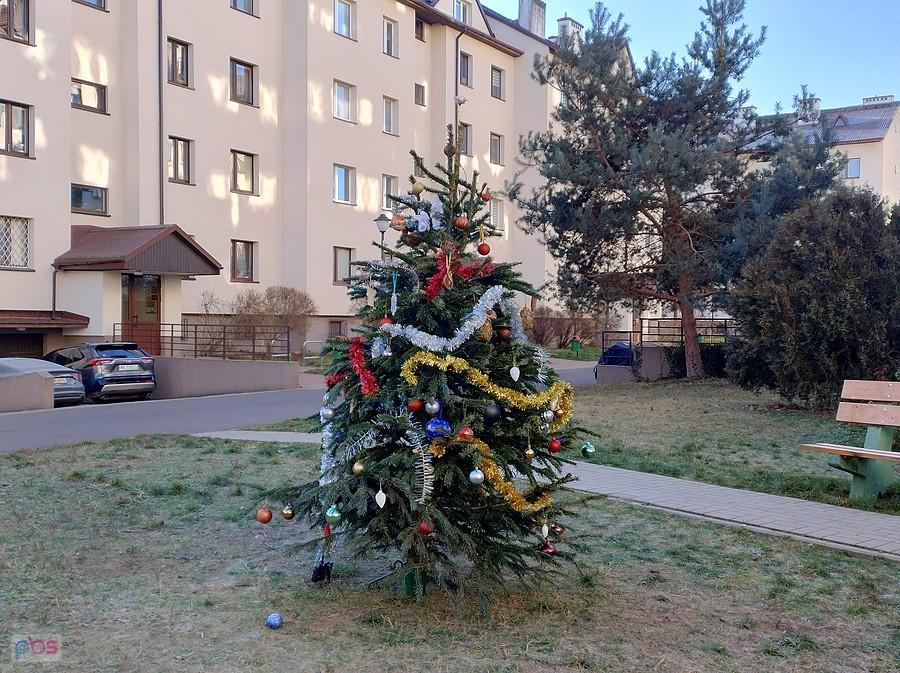 Osiedlowa choinka