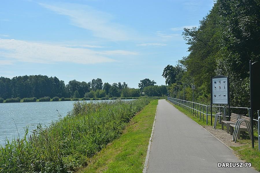 Zamość - Zalew Zamojski