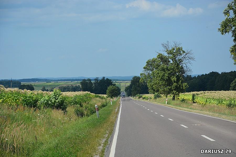 Babice