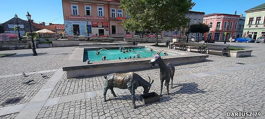 Brzesko - Rynek