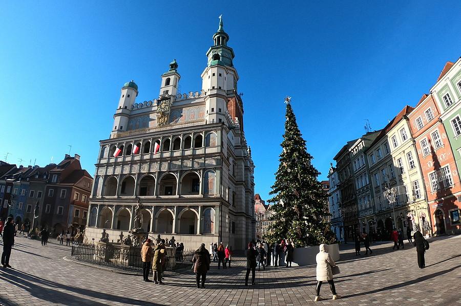 Słoneczny i świąteczny poznański Stary Rynek