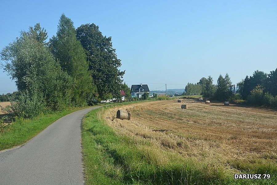 Ryglice