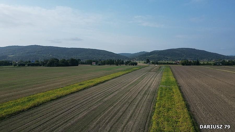 Filipowice - Pogórze Rożnowskie