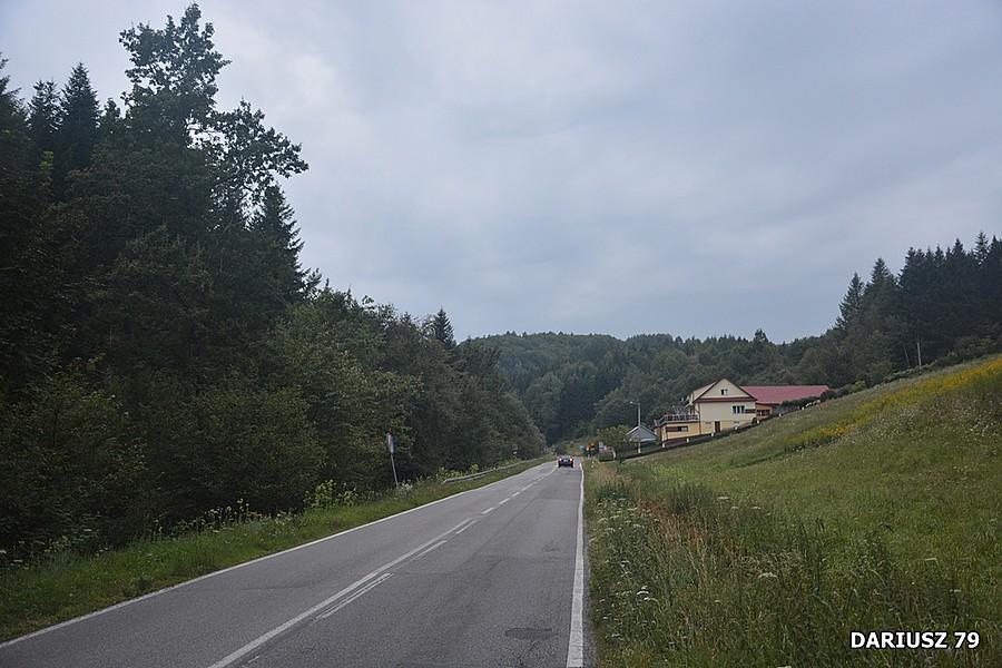Paleśnica