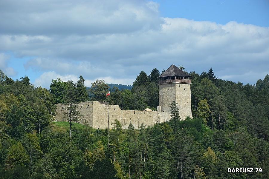 Zamek w Muszynie