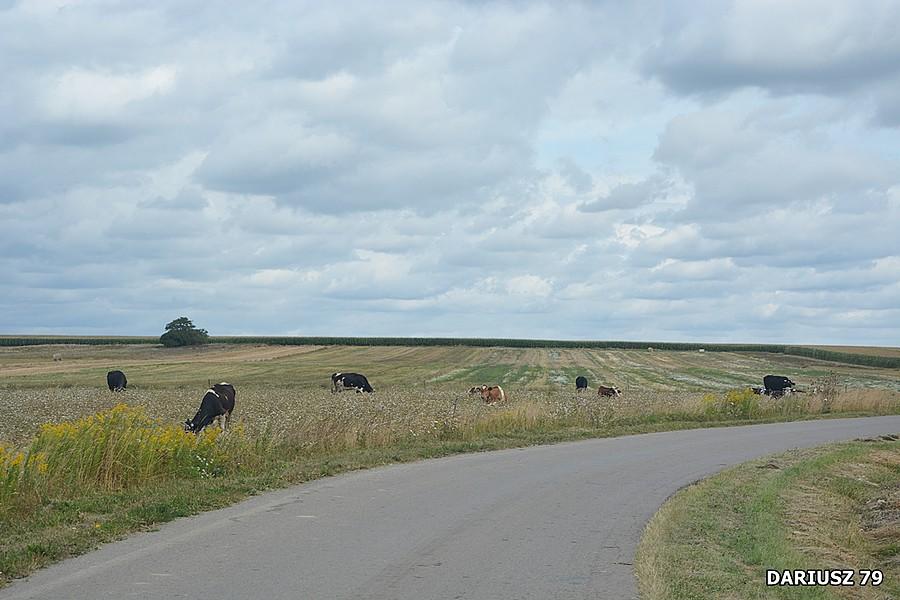 Świętokrzyskie klimaty