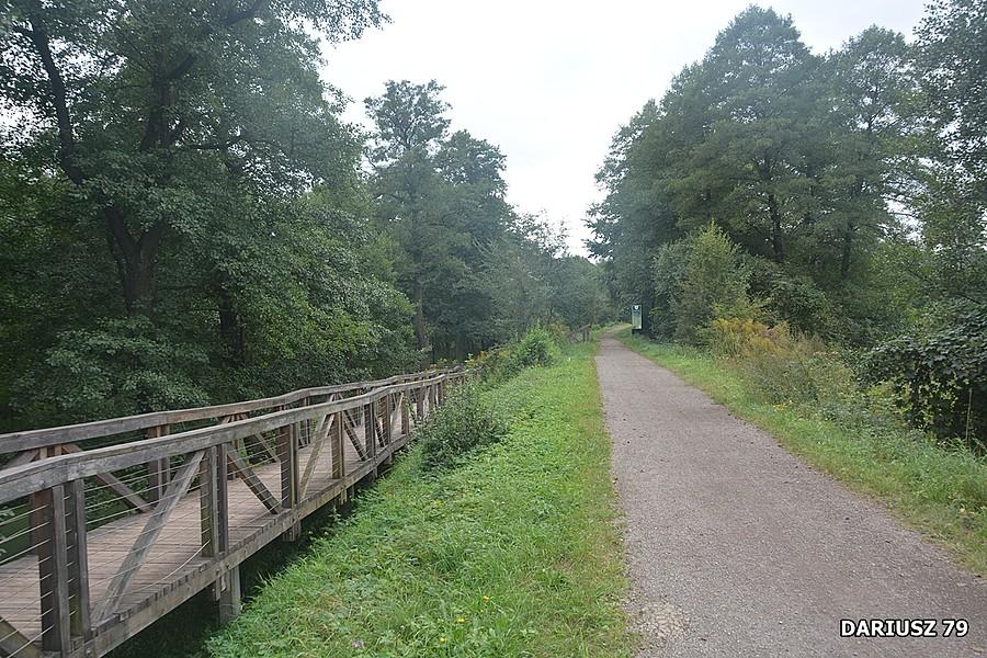 Sławków