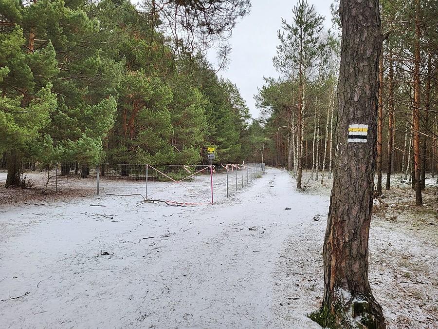 Małe zaskoczenie na żółtym/czarnym pieszym