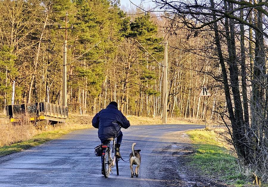Dwa koła oraz dwie i cztery nogi