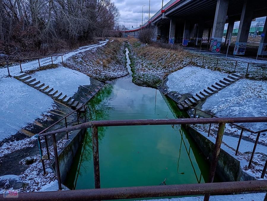 Zielona woda u wylotu kolektora