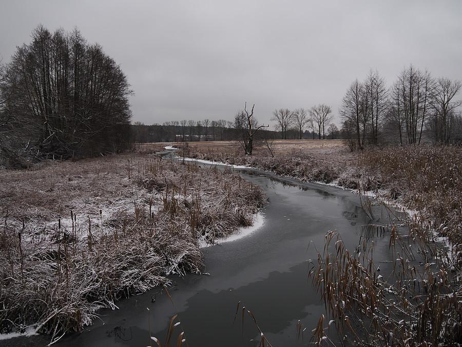 Zimowa Ilanka za Starościnem