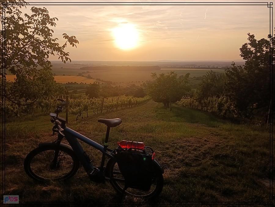 Podsumowanie 2025 czerwiec
