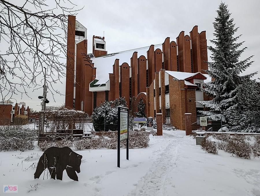 Niedźwiedź ursynowski jeszcze nie śpi