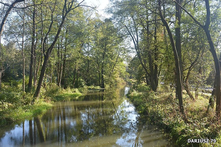 Okradzionów