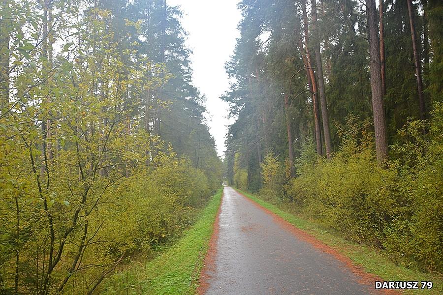 Nowy Targ - Szlak Wokół Tatr