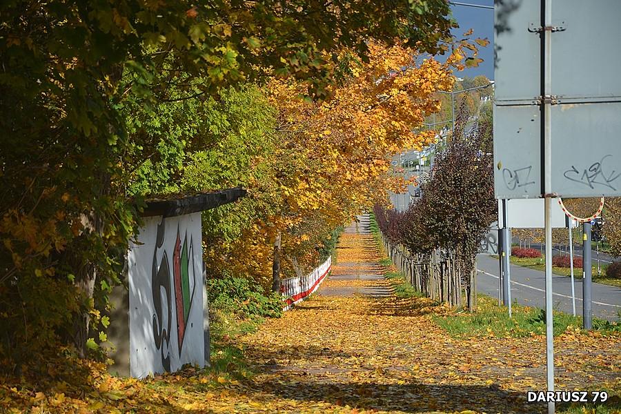 Sosnowiec Zagórze