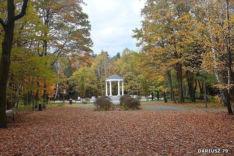Dąbrowa Górnicza - Park Zielona
